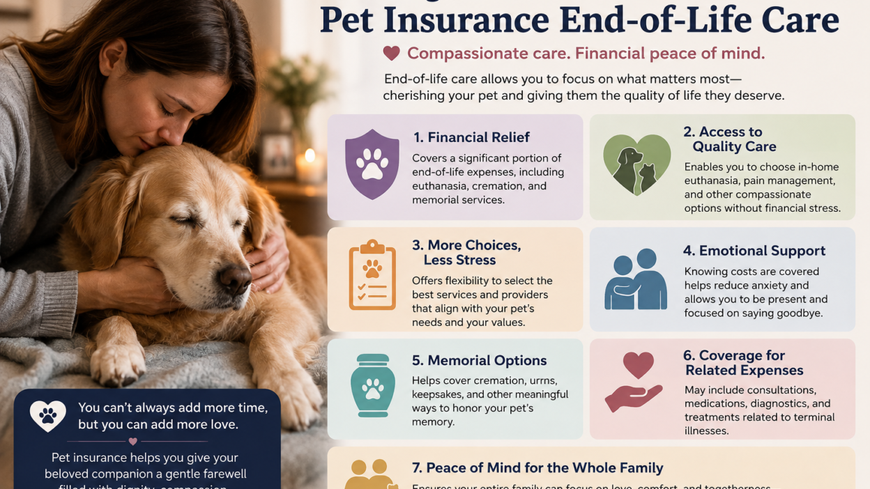 Pet Insurance End-of-Life Care